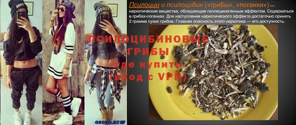 эйфоретик Осинники