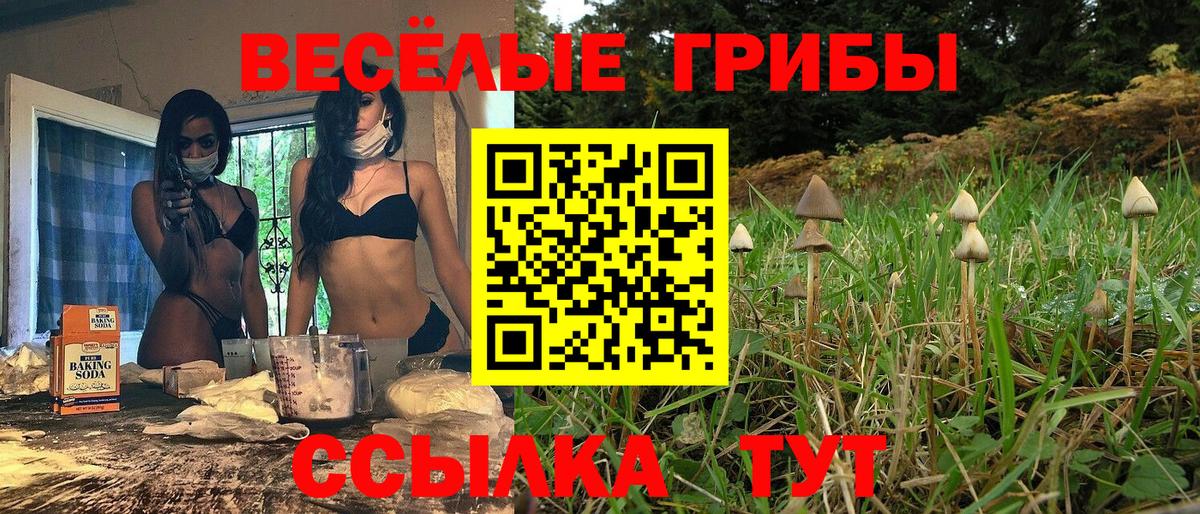 Псилоцибиновые грибы мухоморы Полысаево