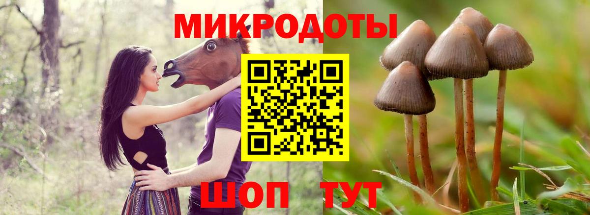Полысаево  Псилоцибиновые грибы Psilocybe  Вход с VPN 